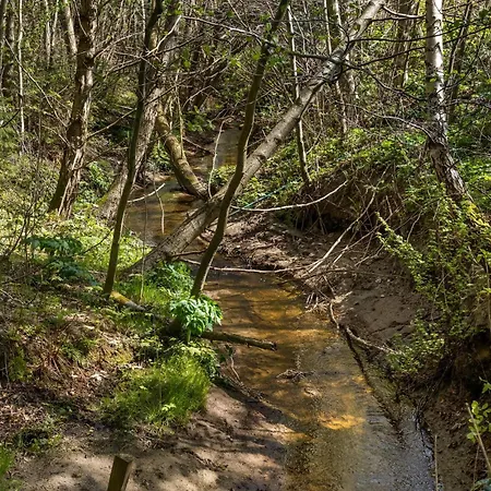 בית נופש 3 Bedroom Cozy In *